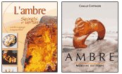 Sur les traces de l'Ambre