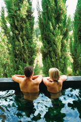 Les excursions nature aux portes de Melbourne Les excursions nature aux portes de Melbourne