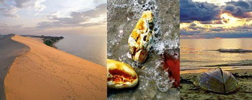 Sur les traces de l’ambre Sur les traces de l’ambre