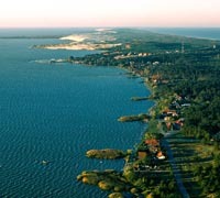 Sur les traces de l’ambre