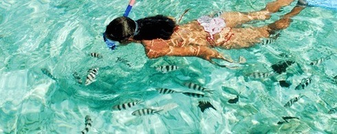 Plongez, nagez, surfez, pêchez : les mille et une manières de profiter de la mer aux Seychelles Plongez, nagez, surfez, pêchez : les mille et une manières de profiter de la mer aux Seychelles