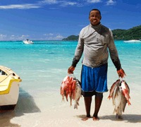 Plongez, nagez, surfez, pêchez : les mille et une manières de profiter de la mer aux Seychelles Plongez, nagez, surfez, pêchez : les mille et une manières de profiter de la mer aux Seychelles