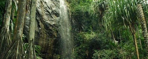 Les Seychelles : un territoire à la diversité insoupçonnée Les Seychelles : un territoire à la diversité insoupçonnée
