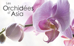 Asia lance l'opération ''Orchidées''