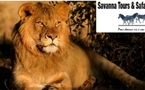 SAVANNA TOURS ET SAFARIS