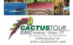 CACTUS TOUR