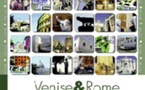 Agences : Italowcost fête l'anniversaire de vos clients