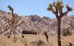 Californie : un nouveau bureau pour booster le marché français