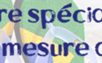 TERRA BRAZIL