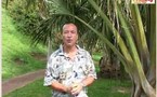 I - La Réunion : Chik (et cyclone)... plus qu'un mauvais souvenir !
