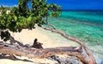 Havanatour : nouveaux hôtels à La Havane et à Varadero cet hiver