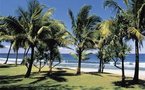 L'Ile de La Réunion se dote d'un Comité Régional du Tourisme 