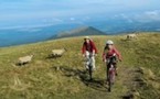 L'Auvergne joue la carte du cyclotourisme