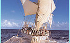 Star Clippers : la programmation 2009 ouverte à la vente