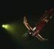 Cirque Alexis Grüss : extraits du spectacle Gipsy