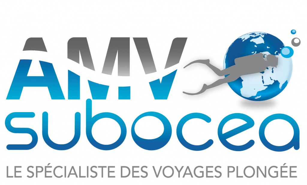AMV Subocéa - Assistant production Voyages H/F - (Stage) - (Marseille 16e)