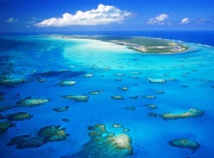 DR : BVITB DR : BVITB