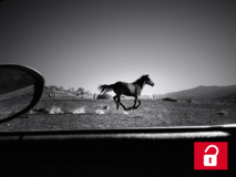 Avis innove toujours plus pour faciliter la location Avis innove toujours plus pour faciliter la location