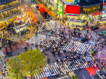 © Fotolia © Fotolia