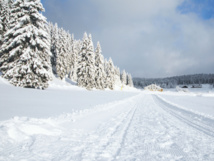 © Fotolia © Fotolia