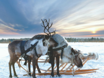 © Fotolia © Fotolia