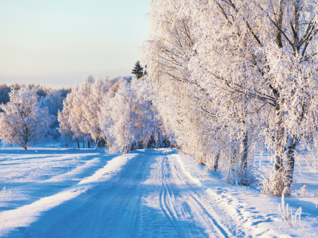 © Fotolia © Fotolia