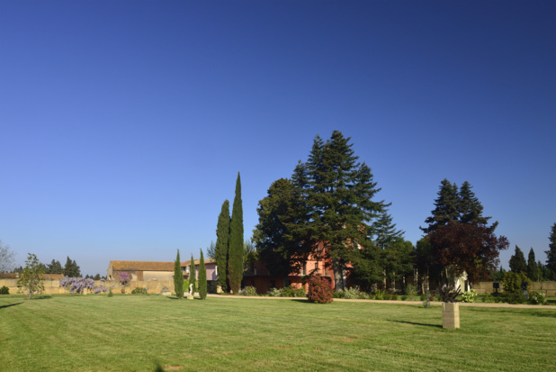 Nîmes (Gard): La Bastide de Fabrègues, guest house between Camargue and Provence