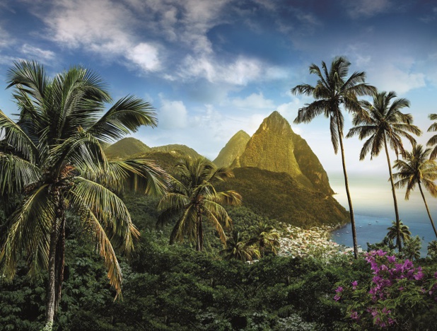 Évoquer Sainte-Lucie sans parler de ses paysages est impossible. Entre mer et montagne, sa végétation et sa faune sont très variées - DR : OT Sainte Lucie Évoquer Sainte-Lucie sans parler de ses paysages est impossible. Entre mer et montagne, sa végétation et sa faune sont très variées - DR : OT Sainte Lucie