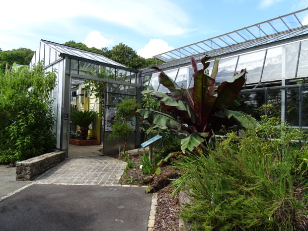 Finistère: the National Botanic Conservatory of Brest and its exceptional gardens