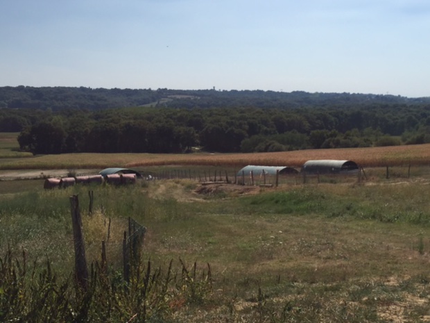 Ferme Moulié-Brassempouy