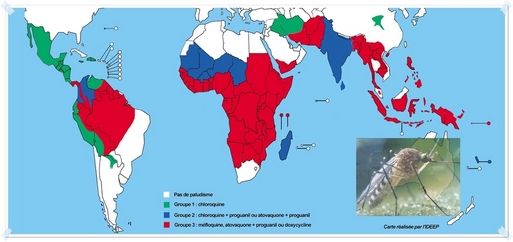 Cliquer pour agrandir