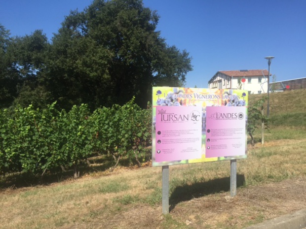 Vignobles-Caves des vignerons landais