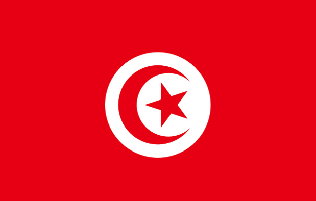 Drapeau de la Tunisie - DR : Wikipedia Drapeau de la Tunisie - DR : Wikipedia