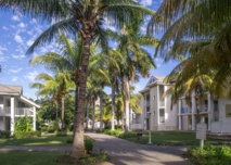 Look Voyages : le Club Lookéa Peninsula Varadero, une valeur sûre à Cuba