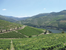 Vallée du Douro © DR Vallée du Douro © DR