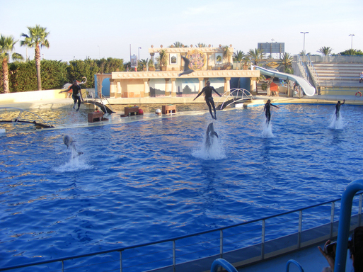 Marineland lève le voile sur ses projets Marineland lève le voile sur ses projets