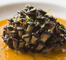 Côte-D'Or Tourisme Côte-D'Or Tourisme