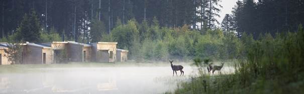 Center Parcs : le Domaine du Bois aux Daims élu meilleure destination écotourisme 2017