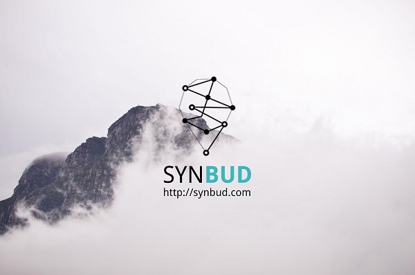 Synbud : le moteur de recherche pour mettre en lien les voyageurs