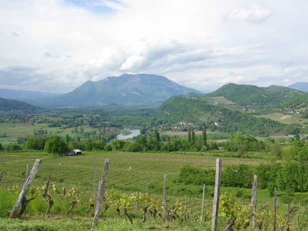 L’Avant-Pays savoyard est un territoire de collines et de montagnes légères, de pommiers, de vignes et de lacs, possède, en plus d’être accueillant, une identité originale. De quoi séduire les touristes curieux de nature - DR : J.-F.R.