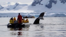 Photo: Quark Expeditions Photo: Quark Expeditions