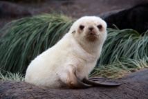 Photo: Quark Expeditions