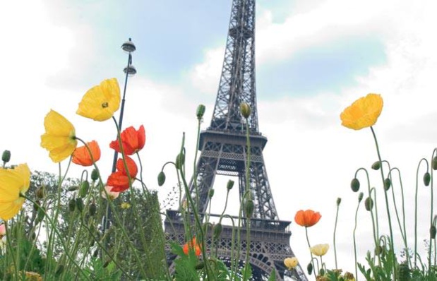 Tourists were fewer in Paris in 2016