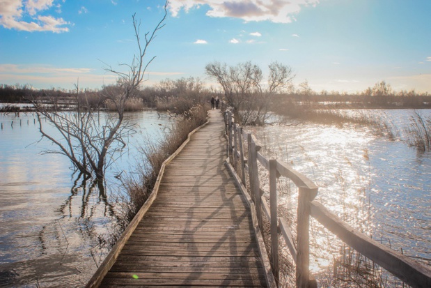 camargue-tourisme