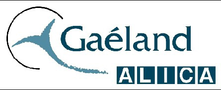 Gaeland Alica : Madagascar en nouveauté de la production Alizés