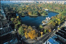 Central Park Central Park