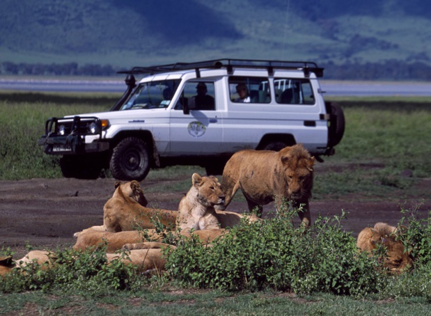 DR Tanganyika Expeditions
