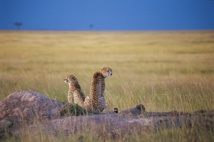 DR Tanganyika Expeditions