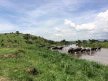 DR Tanganyika Expeditions DR Tanganyika Expeditions