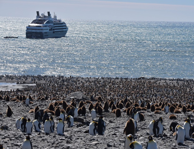 Laissant les Malouines à tribord, nous mettons le cap sur les îles subantarctiques de Géorgie du Sud - DR : C. Pérot